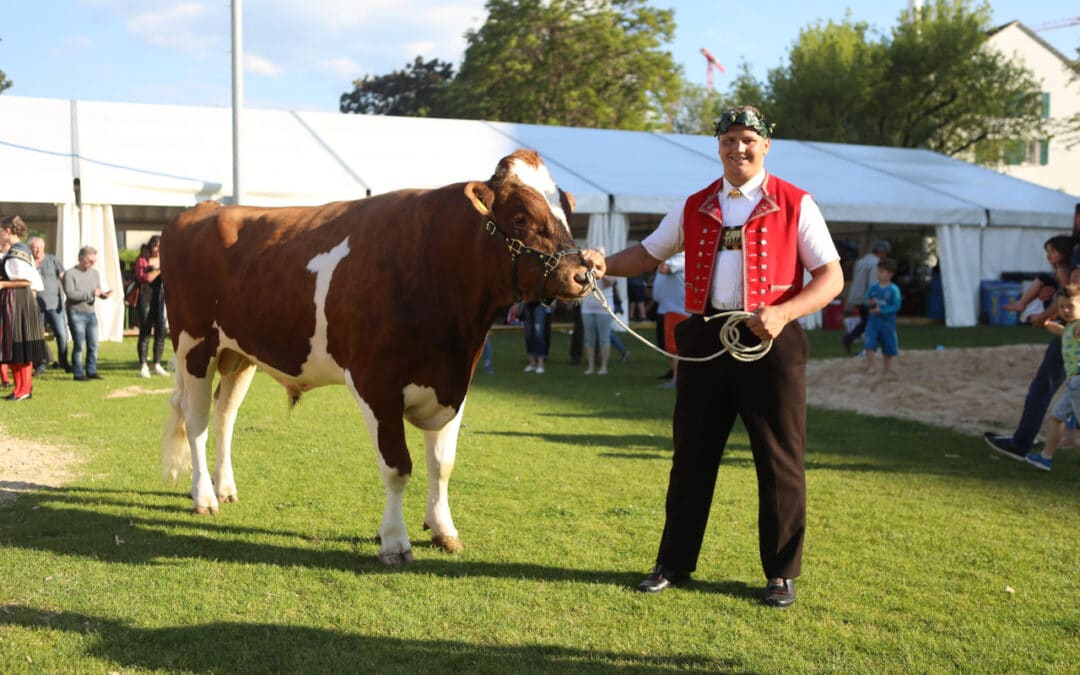 BS Kant. Schwingfest in Basel