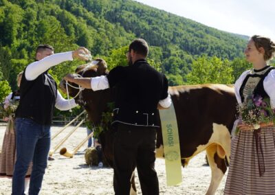 Munitaufe für das 118. Nordwestschweizer Schwingfest