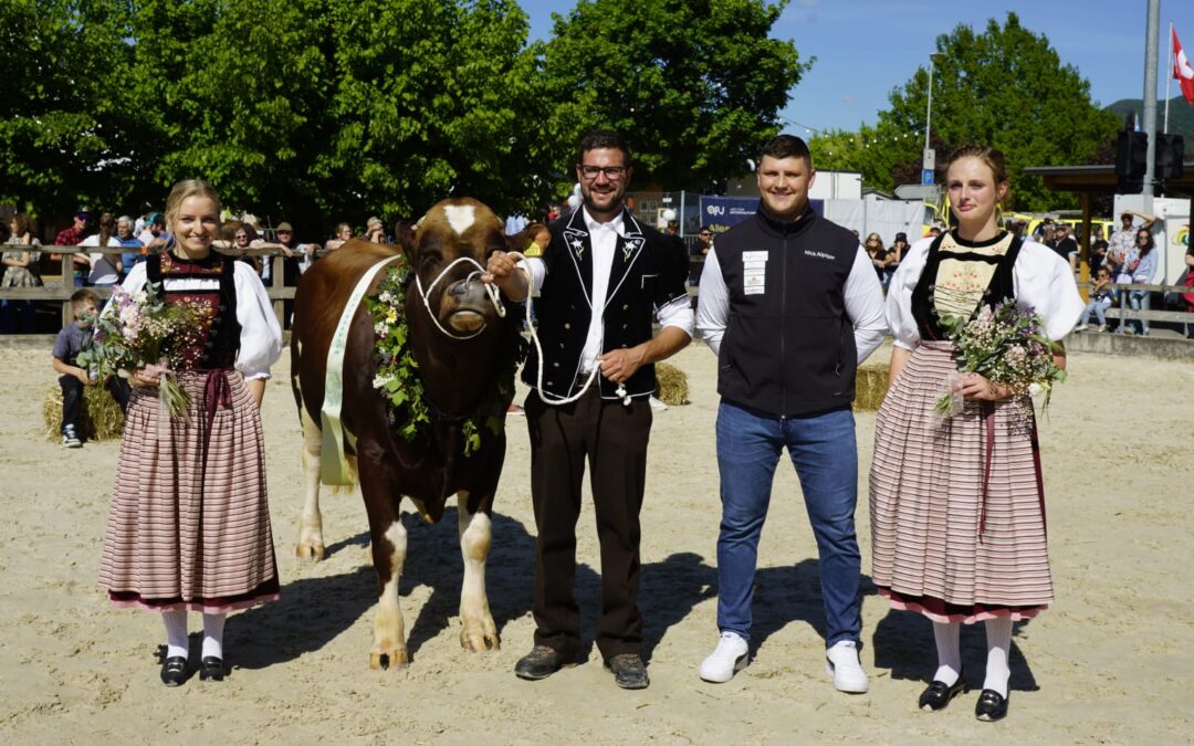 Munitaufe für das 118. Nordwestschweizer Schwingfest