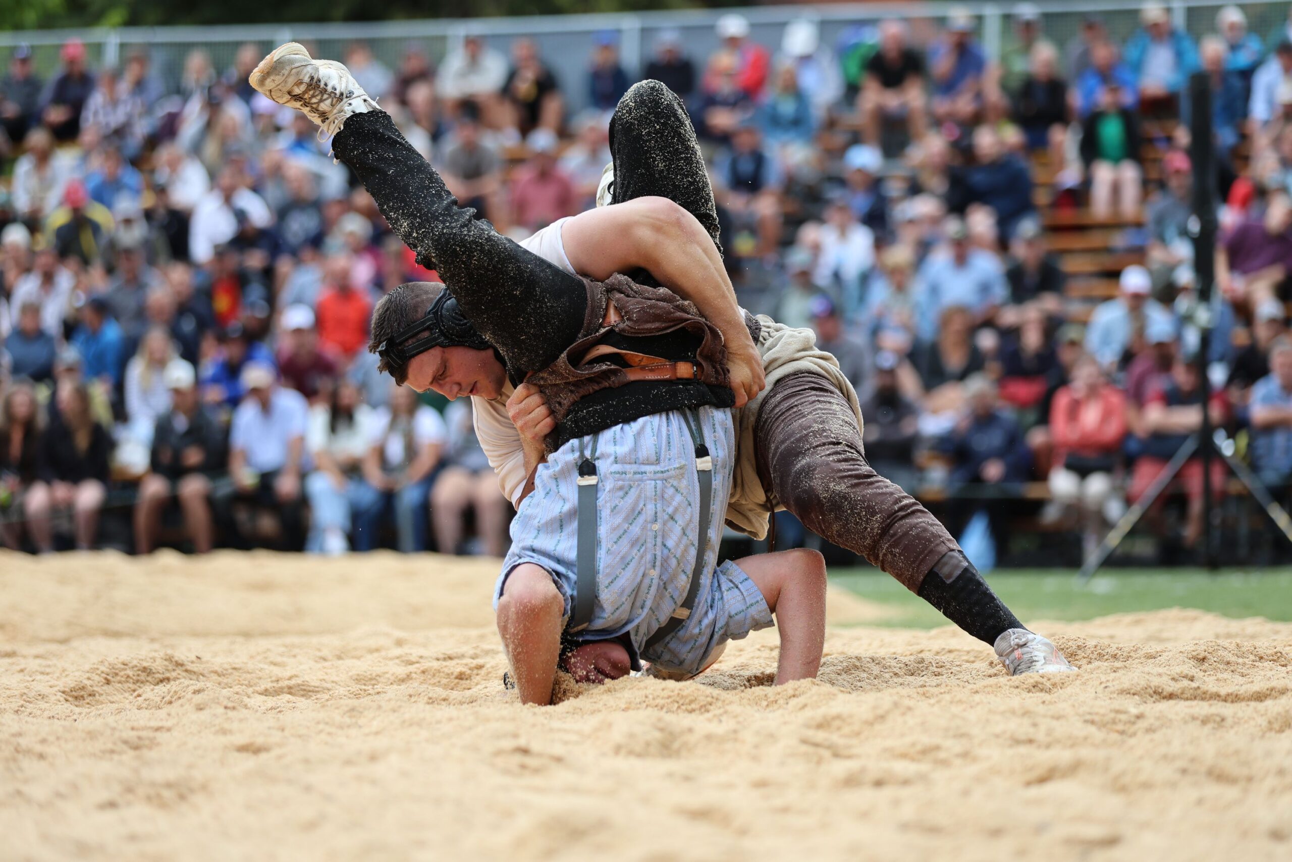 Alpiger Nick gegen Pellet Leon (31)