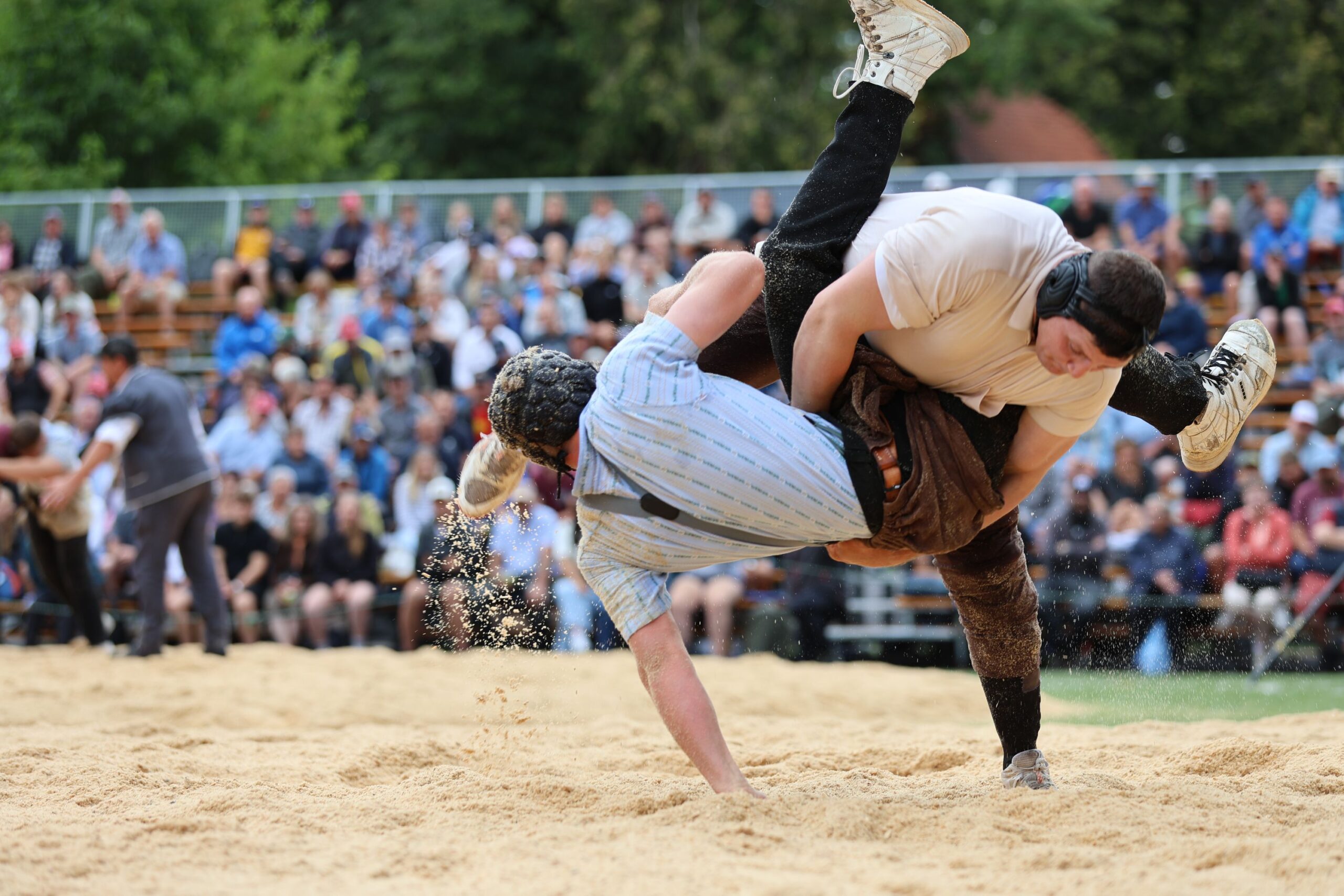 Alpiger Nick gegen Pellet Leon (62)