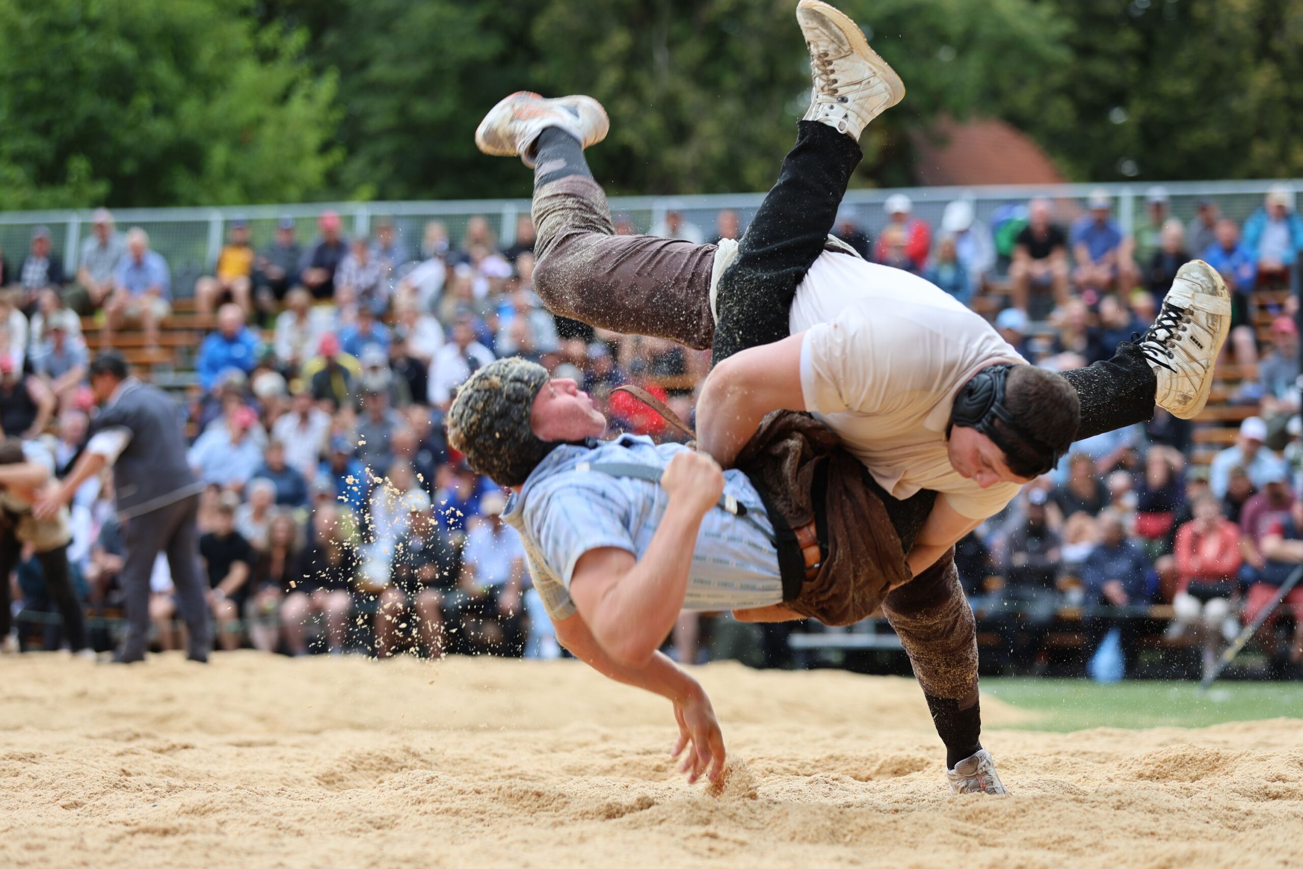 Alpiger Nick gegen Pellet Leon (63)